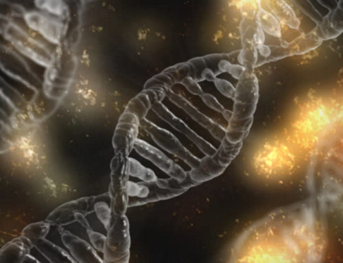La epigenética: Los genes no tienen la última palabra