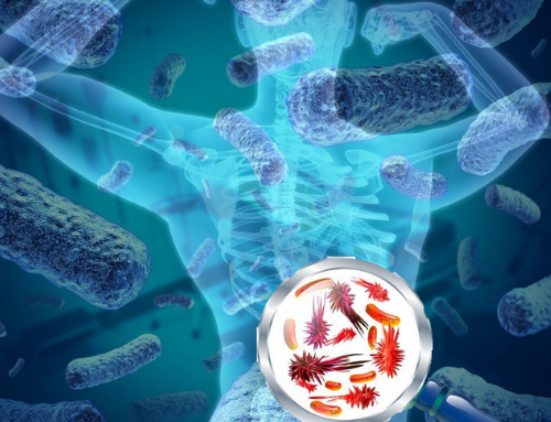 Como es afuera es adentro: Microbiota, nuestro ecosistema personal