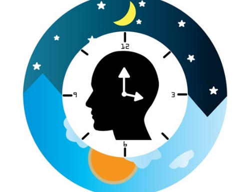 La vida es una conversación entre relojes: El sueño y la sinfonía de tus ciclos circadianos